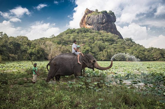 Tripwise 10-Day Adventure Tour – Sri Lanka